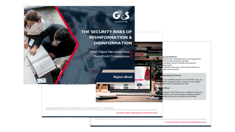 ebook cover - misinformation and disinformation