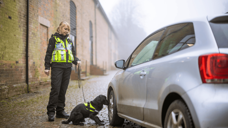 Female K9 handler on duty, standing next to a vehicle with her trained canine partner