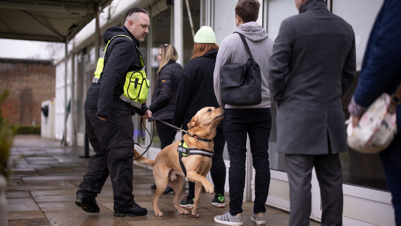 A drug detection canine dog on duty