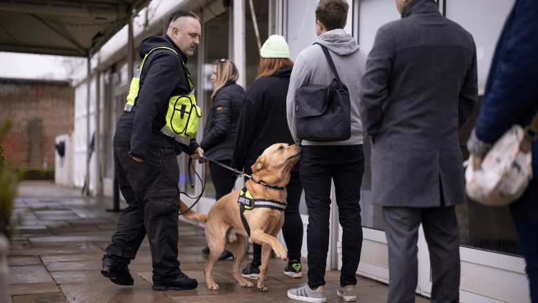 A drug detection canine dog on duty