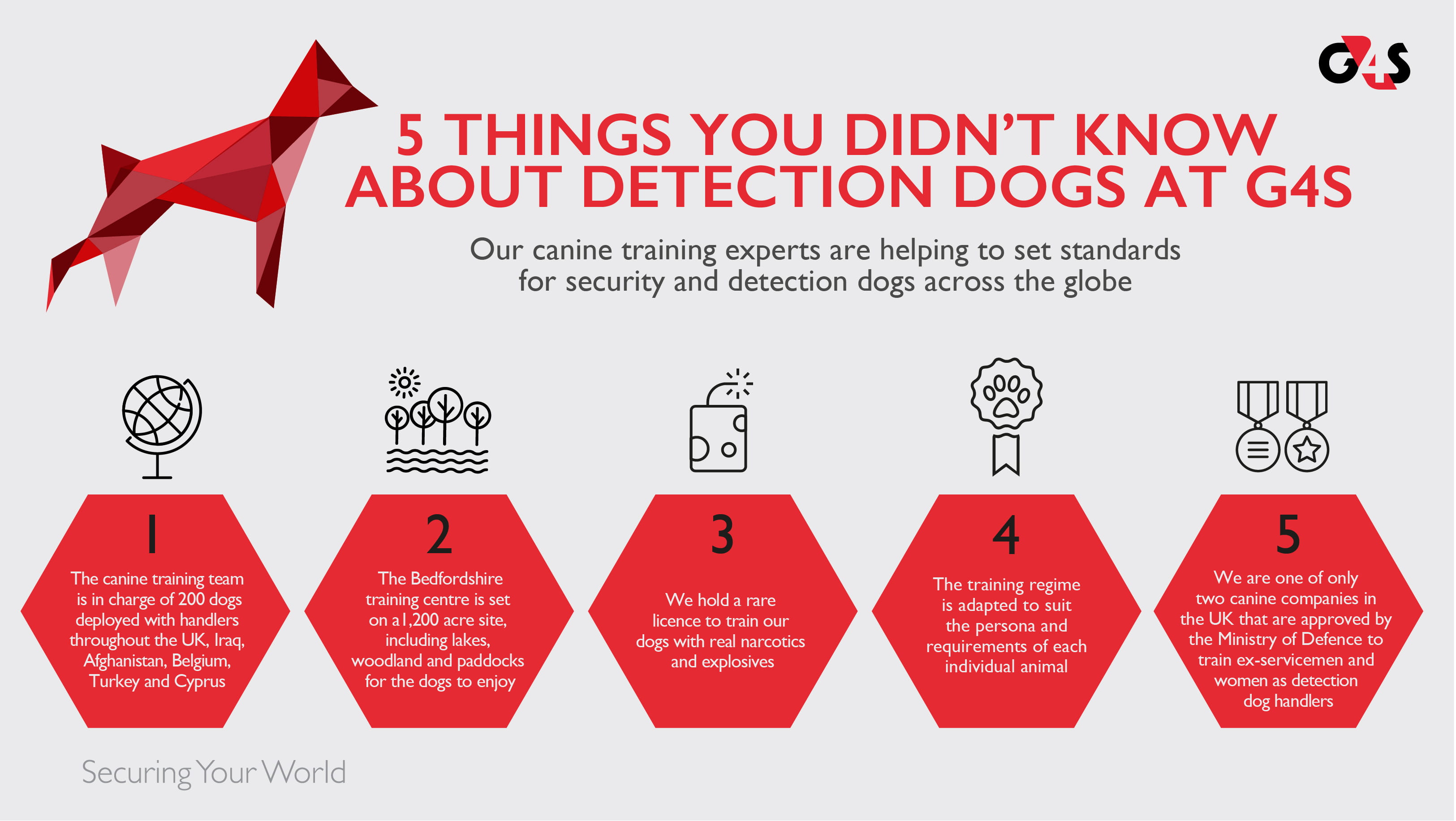 G4S detection dogs infographic