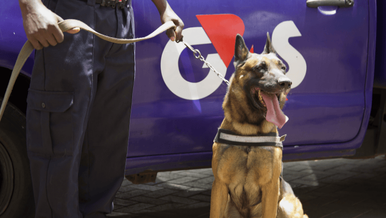 Professional K9 security officer standing next to a security vehicle with a trained canine dog, ready for service