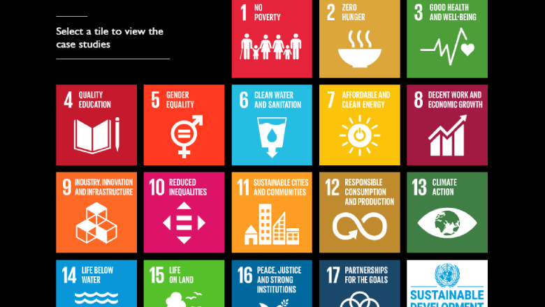 UN SDGs and G4S
