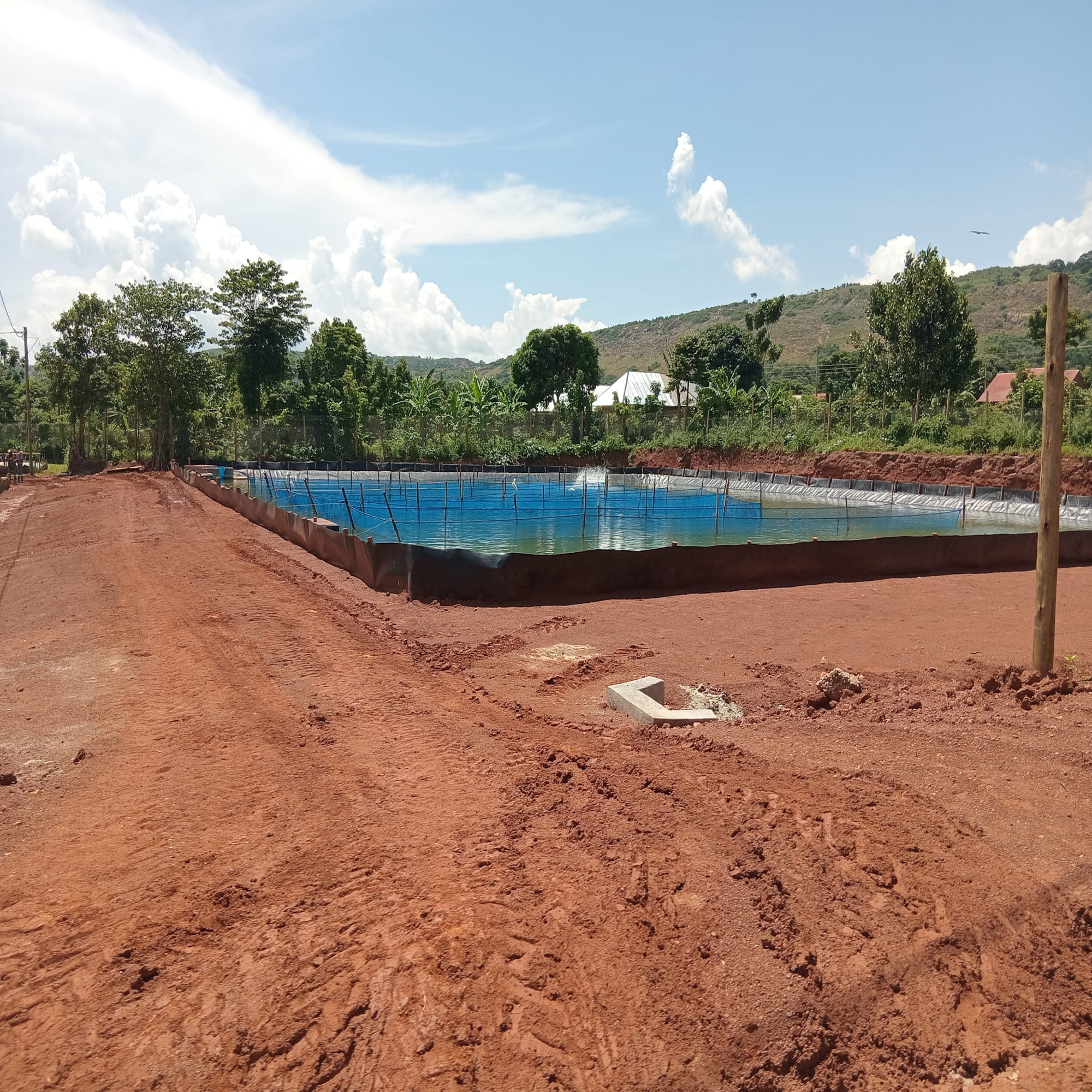 Uganda fish farm