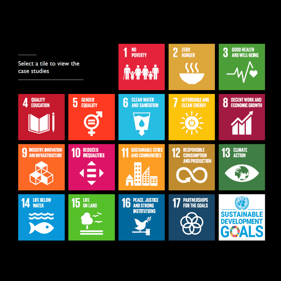UN SDGs and G4S