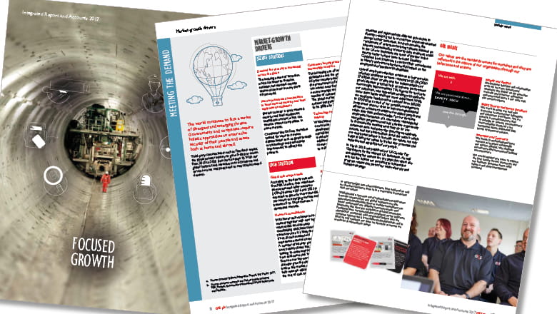 Integrated Report 2017