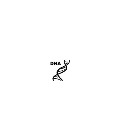 Piktogram DNA-sikring symbol