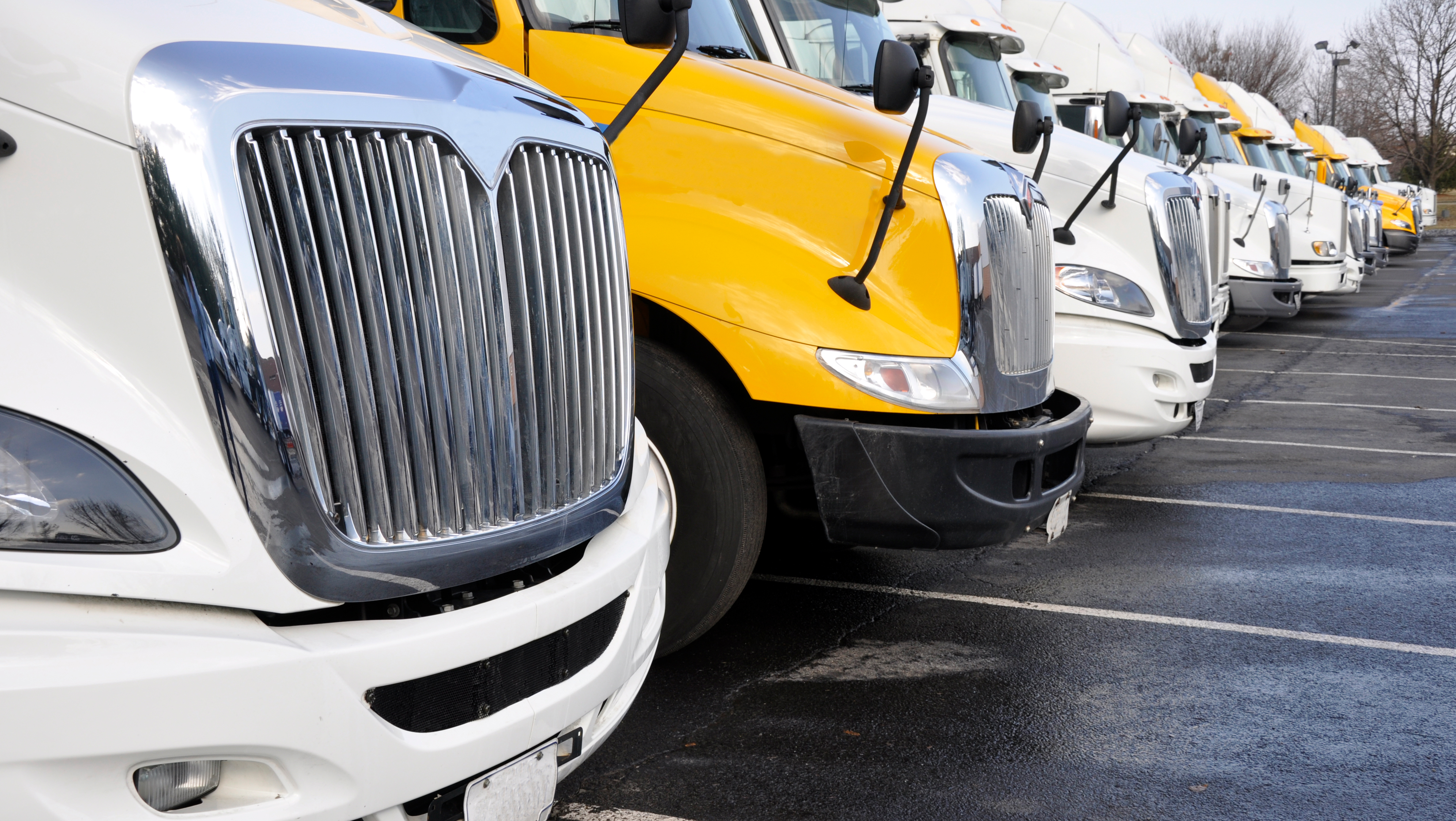 Transport and Logistics