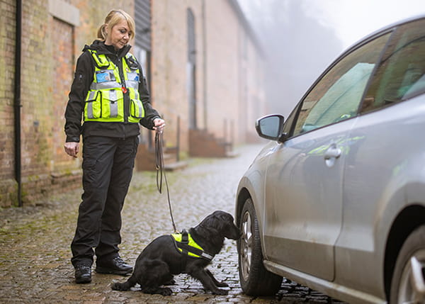 Canine Related Service