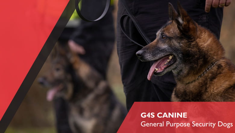 General Purpose Security Dogs