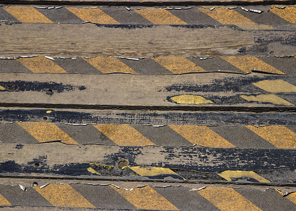 Yellow and Black Markings