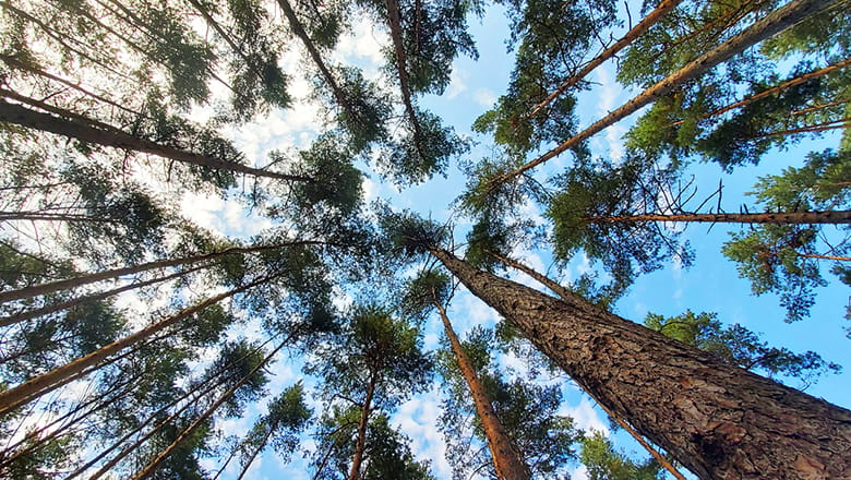 G4S Menu Social Responsibility