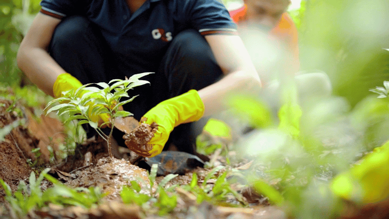 CSR Planting Tree