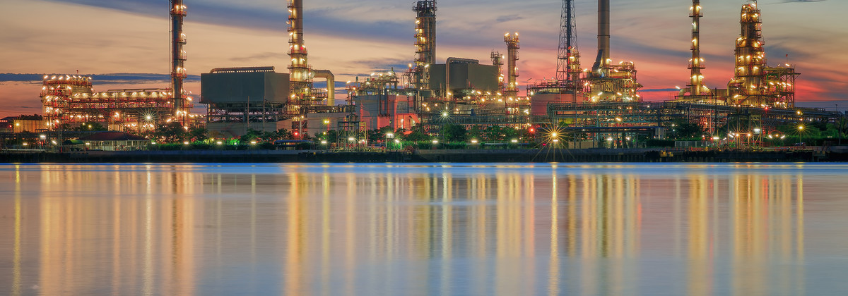 G4S Risk Management - Our sectors