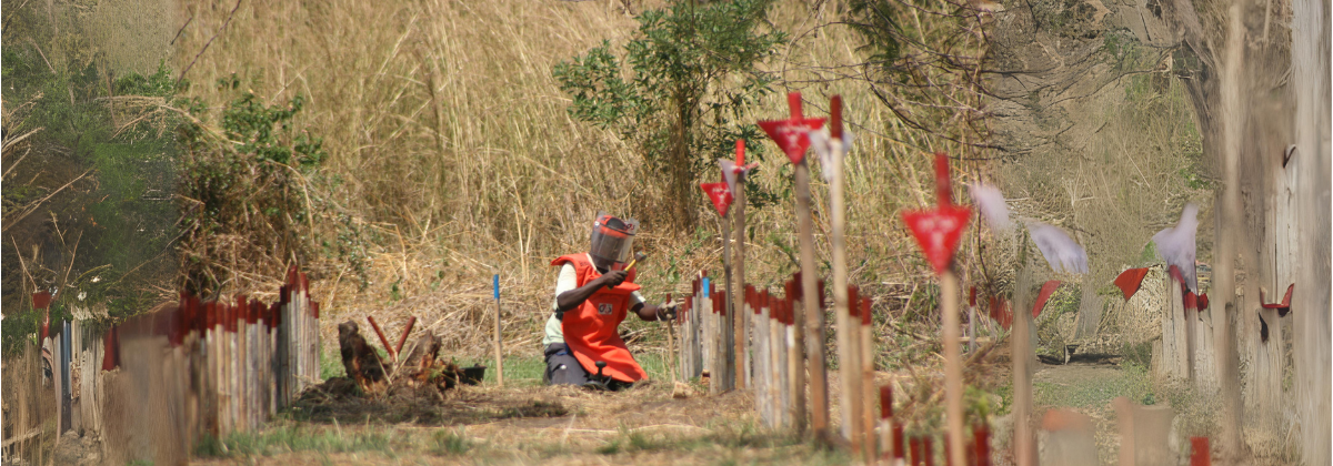 G4S Risk Management in Africa