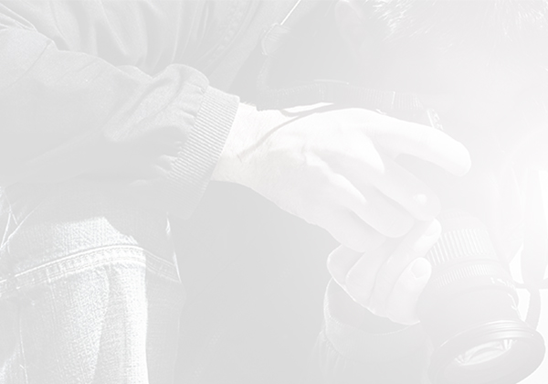 Compliance & Investigations