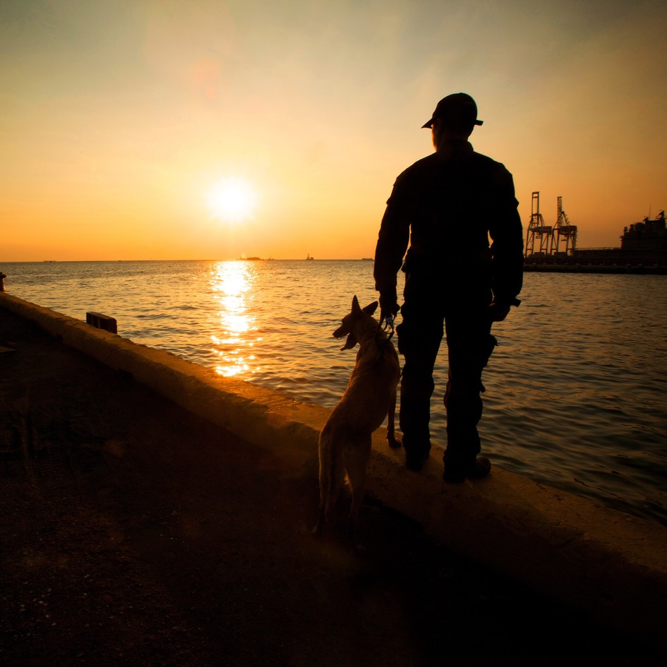 Sun setting over port