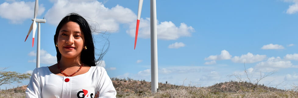 Energías Renovables Caso de Éxito