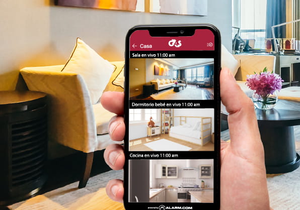 Camaras de seguridad en vivo CCTV