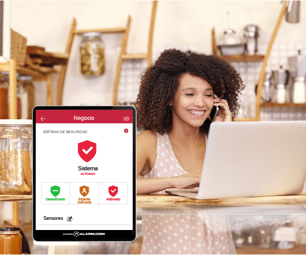 alarma para empresas