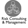 Risk consulting