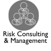 Risk consulting