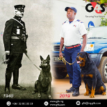 Maitre-chien avec chien