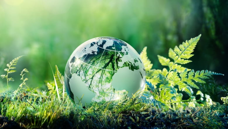 Zemeslode dabā kā ilgtspējīga attīstības un vides aizsardzības simbols. 