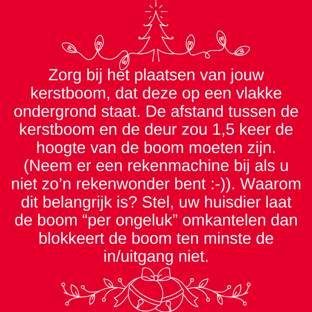 security eindejaar 7