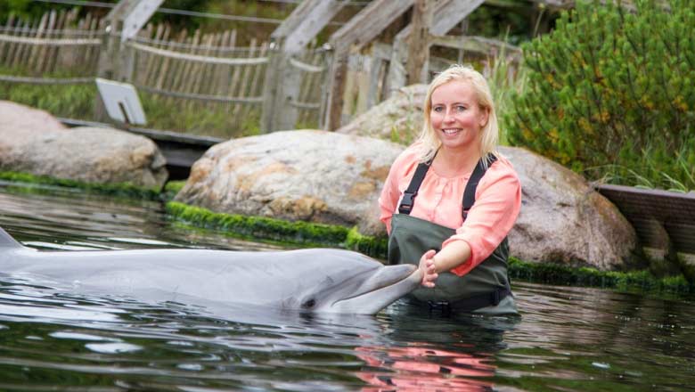 Dolfinarium verzorger