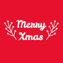 Veiligheidstips feestdagen - afbeelding Merry Xmas