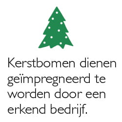 Veiligheidstips feestdagen - kerstbomen impregneren