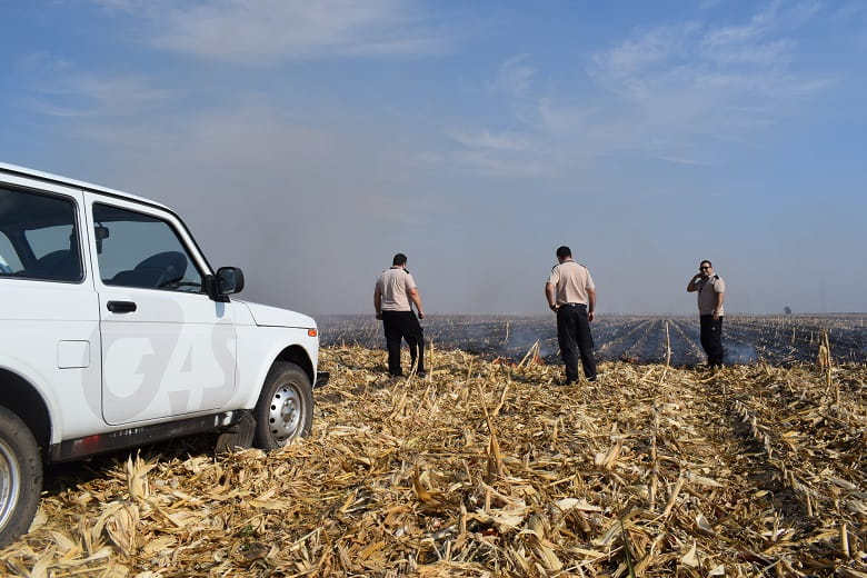 Field Security Guards